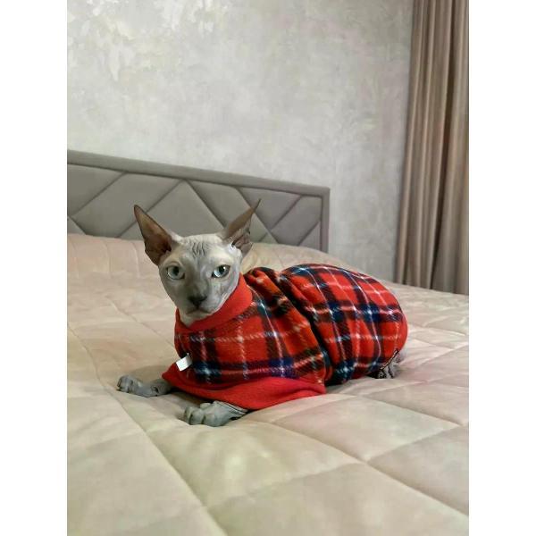 Свитер для животных МОНМОРАНСИ жилет для кошек, красный, размер S