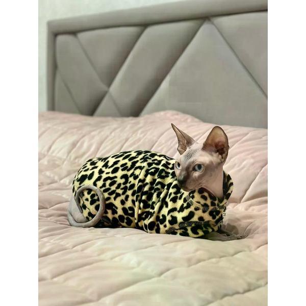 Свитер для животных МОНМОРАНСИ жилет для кошек, леопардовый бежевый, размер М.