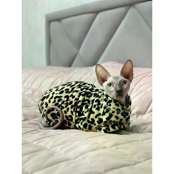 Свитер для животных МОНМОРАНСИ жилет для кошек, леопардовый бежевый, размер XL