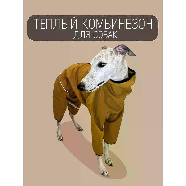 Комбинезон для животных МОНМОРАНСИ rомбинезон для Уиппета. горчичный, М1