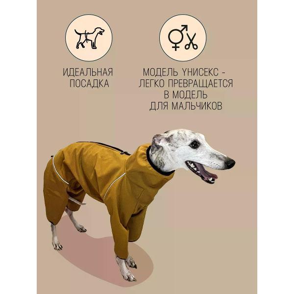 Комбинезон для животных МОНМОРАНСИ rомбинезон для Уиппета. горчичный, М1