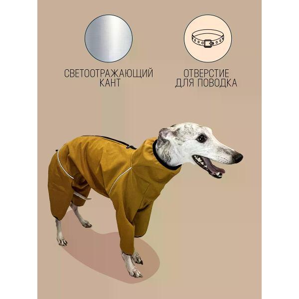 Комбинезон для животных МОНМОРАНСИ rомбинезон для Уиппета. горчичный, М1
