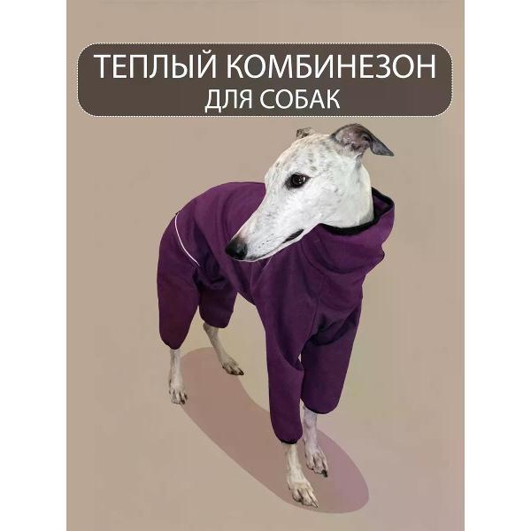 Комбинезон для животных МОНМОРАНСИ для Уиппета, черника, М2