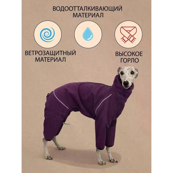 Комбинезон для животных МОНМОРАНСИ для Уиппета, черника, М2