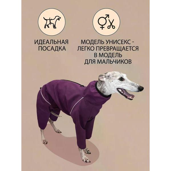 Комбинезон для животных МОНМОРАНСИ для Уиппета, черника, М2