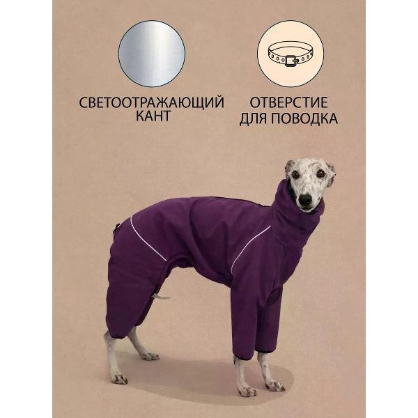 Комбинезон для животных МОНМОРАНСИ для Уиппета, черника, М2