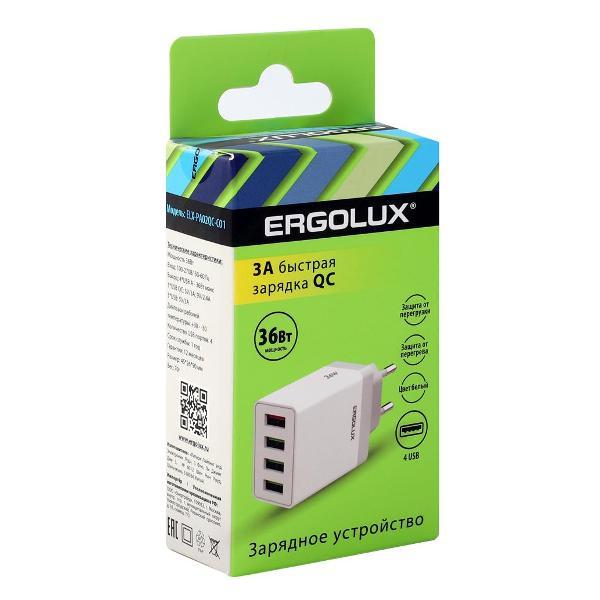 Сетевой адаптер для планшета Ergolux ELX-РA02QC-C01