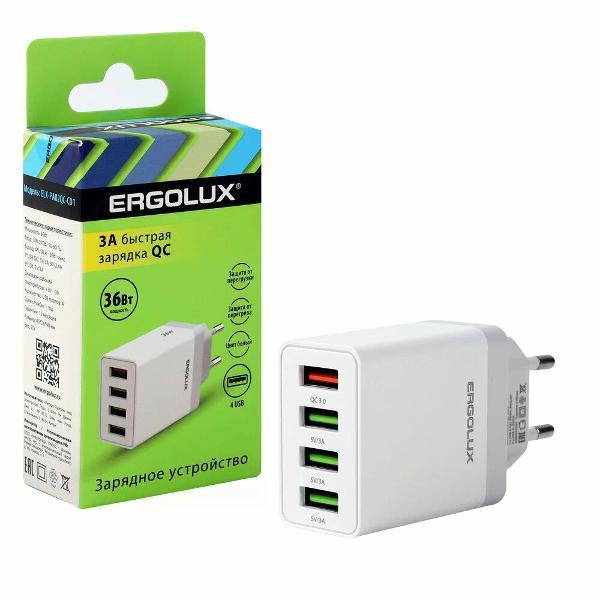Сетевой адаптер для планшета Ergolux ELX-РA02QC-C01