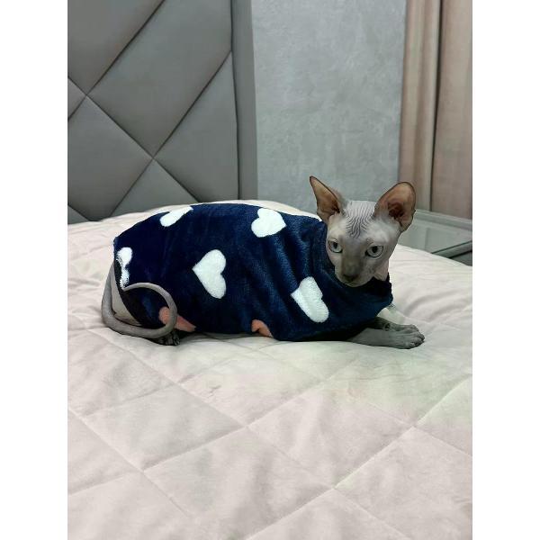 Свитер для животных МОНМОРАНСИ жилет для кошек, сердца, размер S