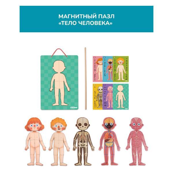 Пазл Mideer CT7013