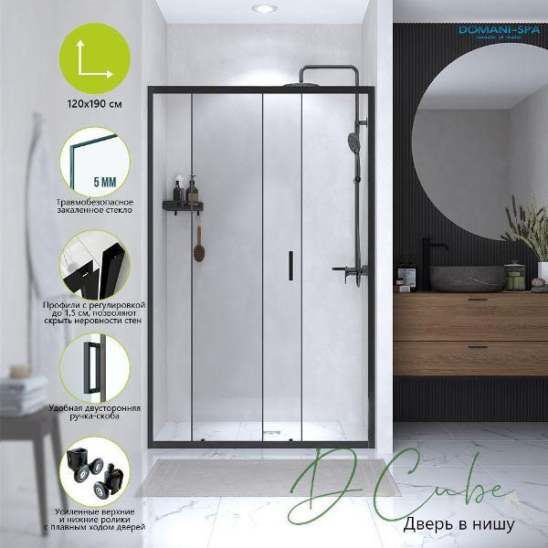 Душевая дверь Domani-Spa DCube фото