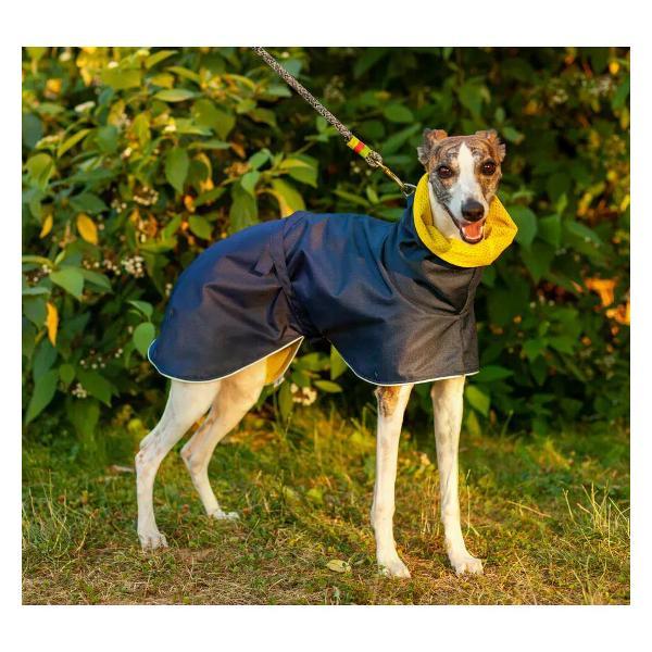 Дождевик для животных Монморанси для собак породы Левретка, синий, размер S3