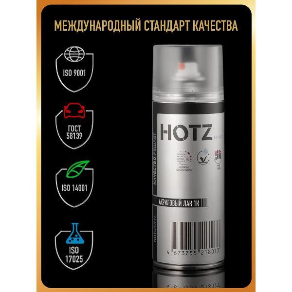 Лак для автомобиля HOTZ ХОТС