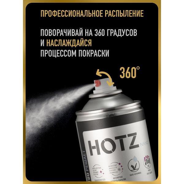 Лак для автомобиля HOTZ ХОТС