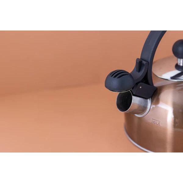 Чайник для плит Kitchen Craft Kitchen Craft Чайник со свистком 1,3л Copper La Cafeti#re