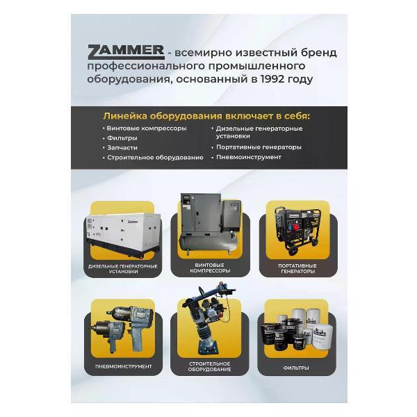 Краскопульт пневматический Zammer H-887S