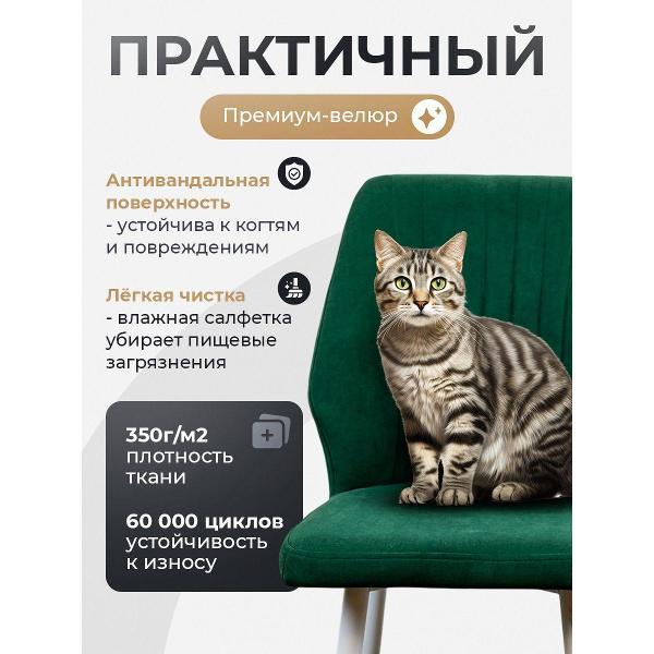 Стул обеденный Артхолдинг Лорд