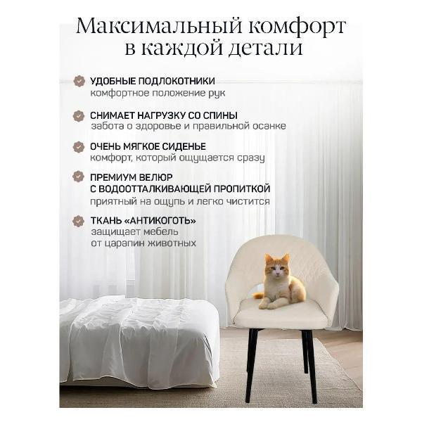 Стул обеденный Артхолдинг Барон