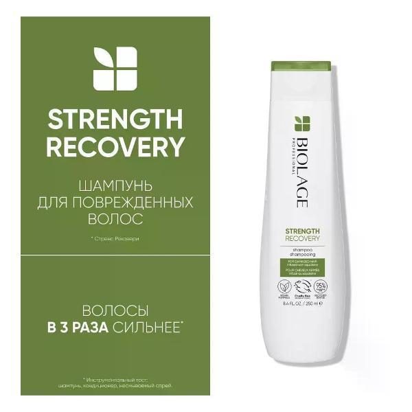 Шампунь для волос BIOLAGE Recovery Strength - Шампунь для восстановления волос 250 мл