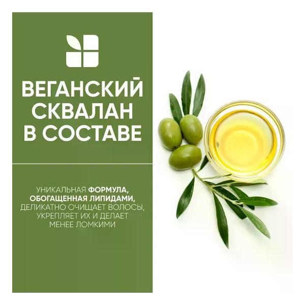 Шампунь для волос BIOLAGE Recovery Strength - Шампунь для восстановления волос 250 мл