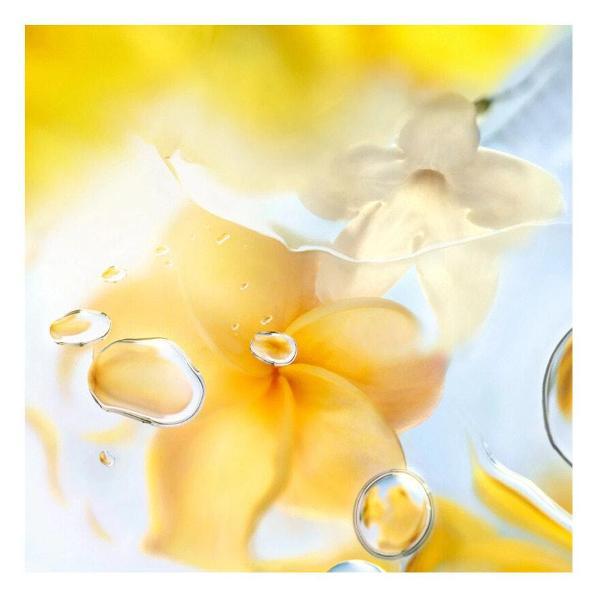 Парфюмерная вода Lancome # Zenith