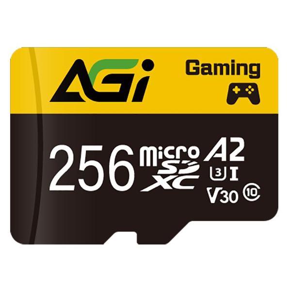 Карта памяти AGI TF138