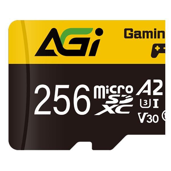 Карта памяти AGI TF138