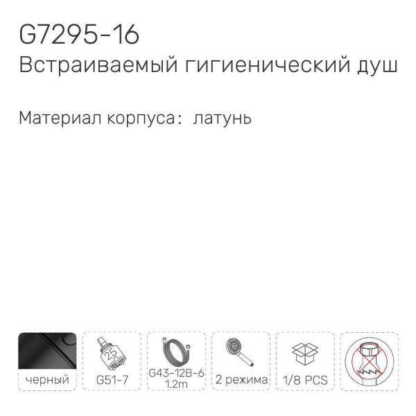 Гигиенический душ Gappo Гигиенический душ с полочкой и бумагодержателем Gappo G7295-16, черный