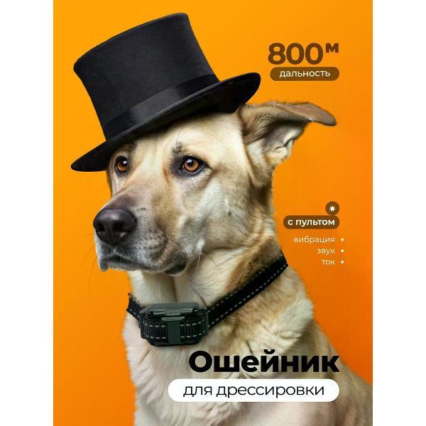 Ошейник SuperPets Электронный ошейник для собак с дистанционным управлением
