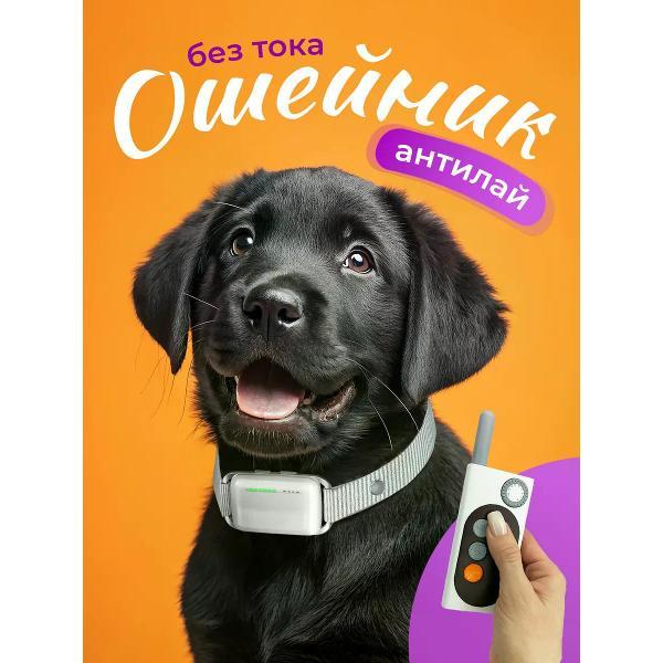 Ошейник SuperPets Ошейник электронный дрессировочный для собак без тока