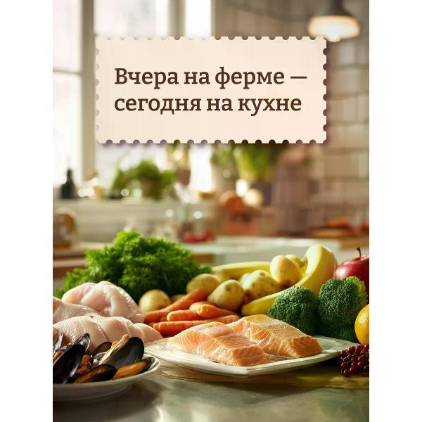 Корм сухой NOW'KITCHEN для пожилых кошек с индейкой senior, 3,63 кг