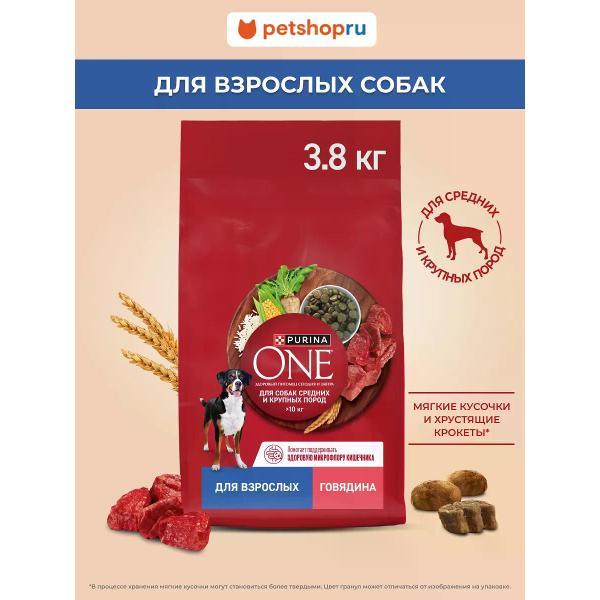 Корм сухой PURINA ONE для взрослых собак средних и крупных пород, говядина, 3.8 кг