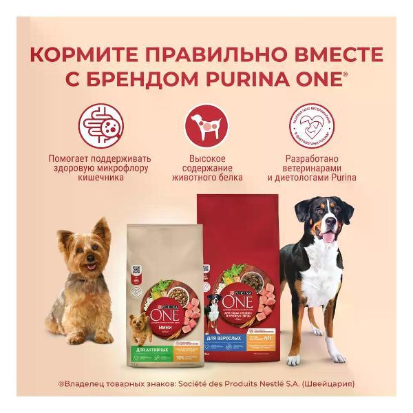 Корм сухой PURINA ONE для взрослых собак средних и крупных пород, говядина, 3.8 кг