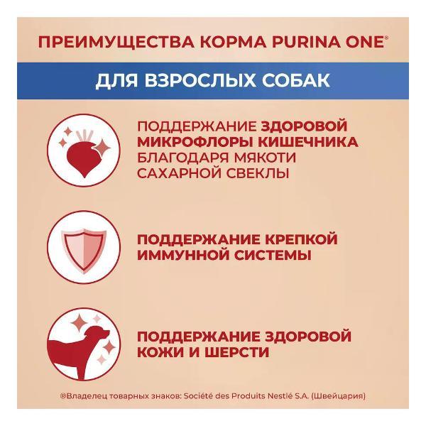 Корм сухой PURINA ONE для взрослых собак средних и крупных пород, говядина, 3.8 кг