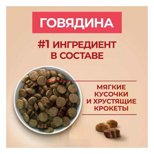 Корм сухой PURINA ONE для взрослых собак средних и крупных пород, говядина, 3.8 кг