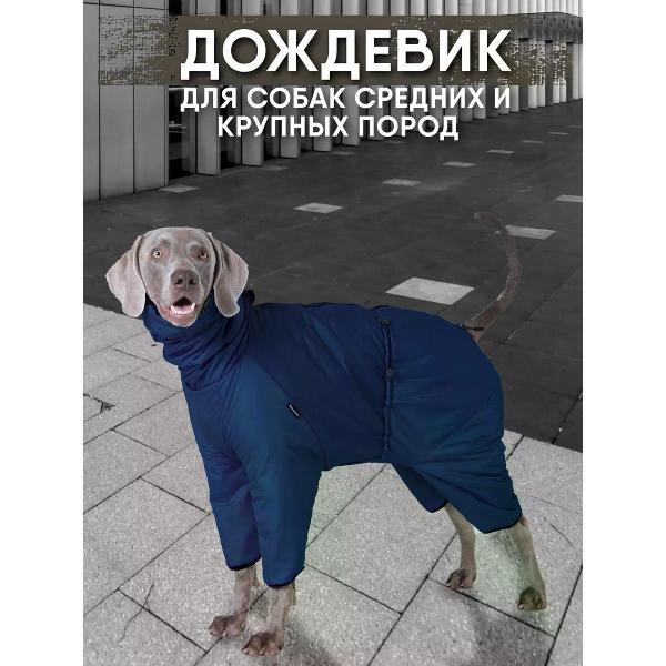 Дождевик для животных МОНМОРАНСИ комбинезон для собак малых и средних пород, цвет синий/черный, S3