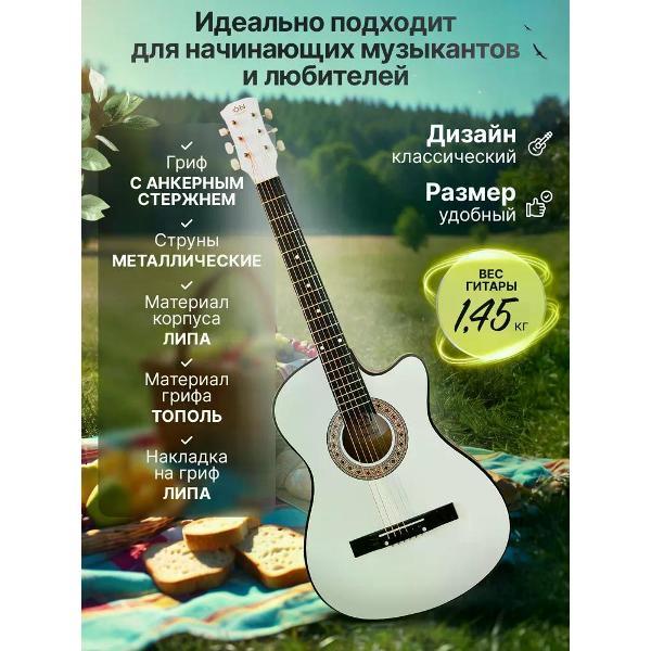 Гитара ON Music Picnic Set