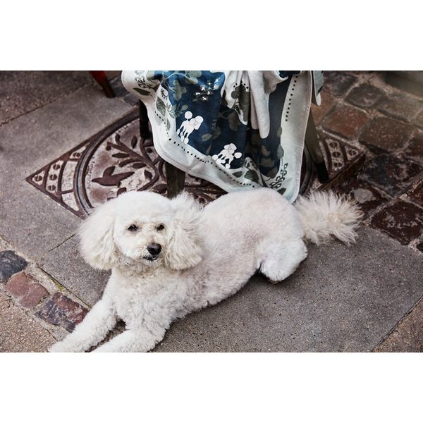 Плед Elodie Velvet Rebel Poodle Mineral Green (30320127614NA)