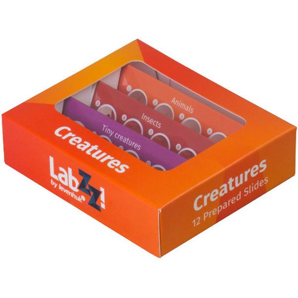 Научный набор для детей Levenhuk LabZZ C12