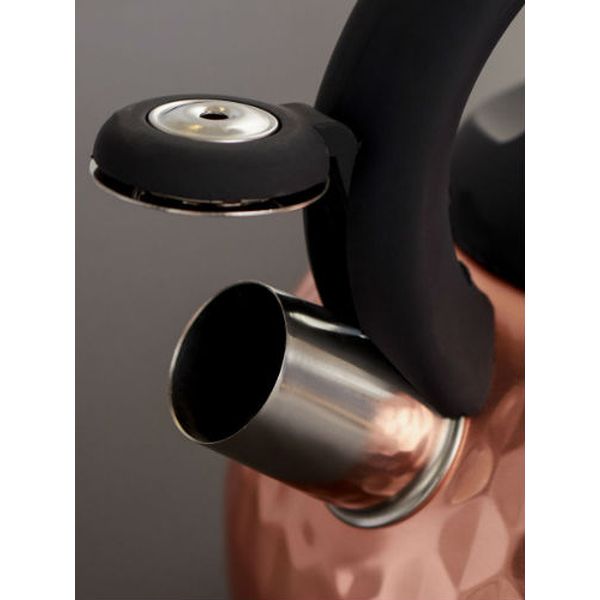 Чайник Magistro 4501426 Galaxy 3л, бронзовый