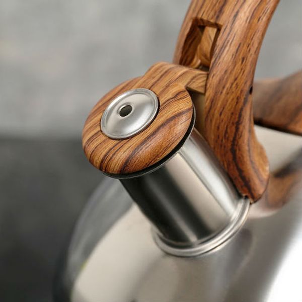 Чайник Доляна 1405209 Квант 2.8л, коричневый