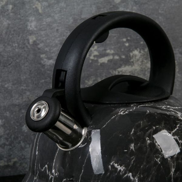 Чайник Доляна 4101873 Эшфорд 2.8л