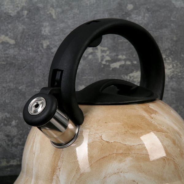 Чайник Доляна 4101874 Скоттиш 2.8л