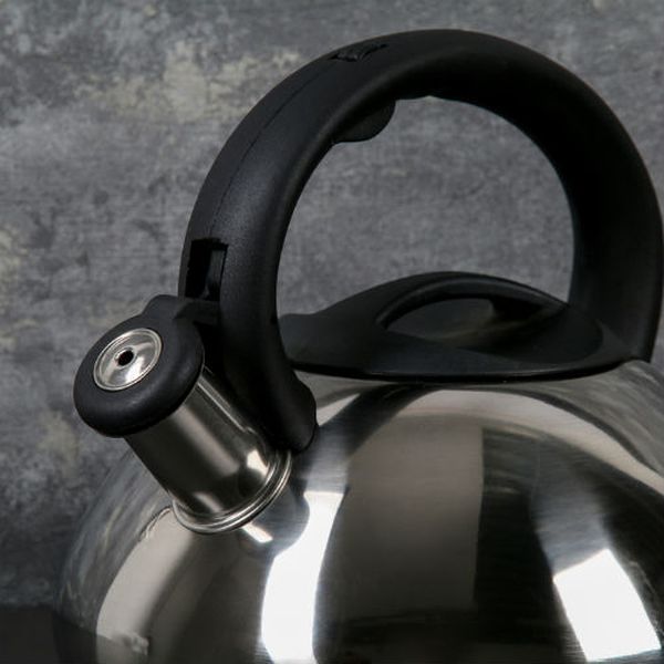 Чайник Доляна 4101877 Блеск 2.8л