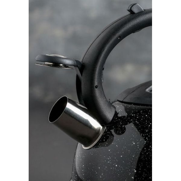 Чайник Доляна 4276498 Рио 2.8л, черный