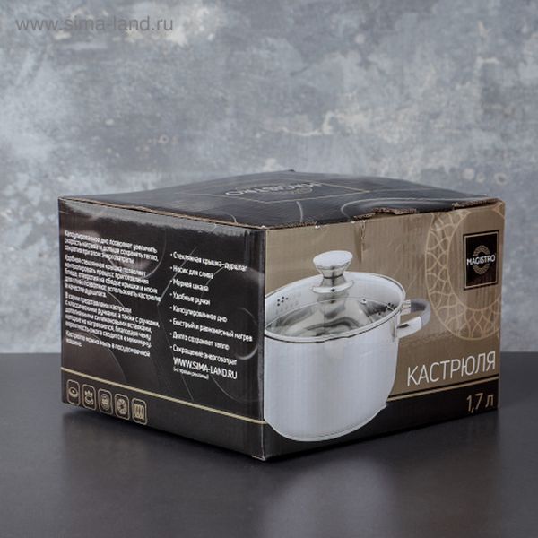 Кастрюля Magistro 4501327 Tefida 1,7л + крышка-дуршлаг