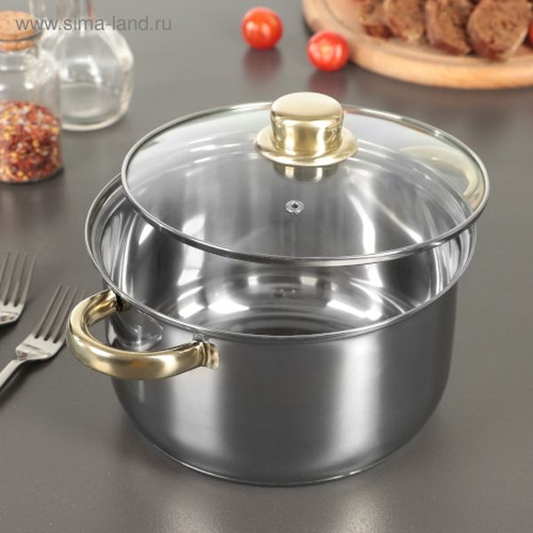 Кастрюля Доляна 113315 Роскошь 3л + крышка