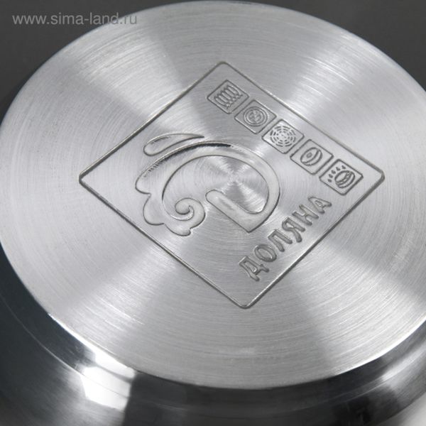 Кастрюля Доляна 4097381 Вернер 2,5л + крышка