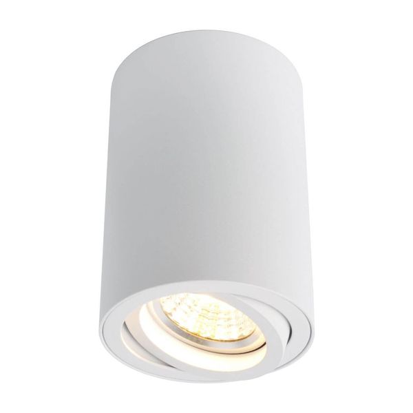 Светильник Arte Lamp A1560PL-1WH Sentry фото