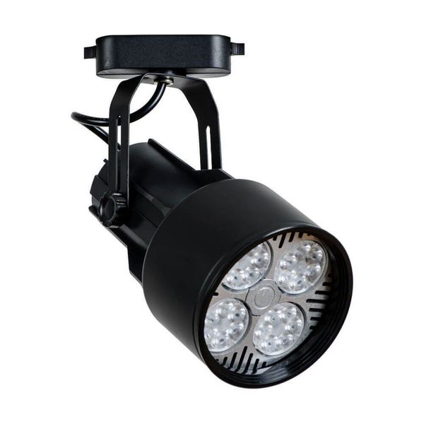 Светильник Arte Lamp A6252PL-1BK Lyra